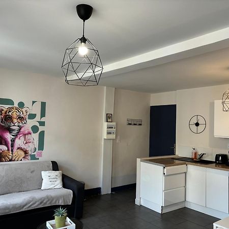 Spacieux, Climatise, Quartier Calme, Proche Chateau, Le Cocon De Joy Carcassonne Eksteriør billede